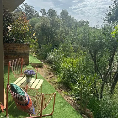 Casaty Mare * ポルトヴェッキオ